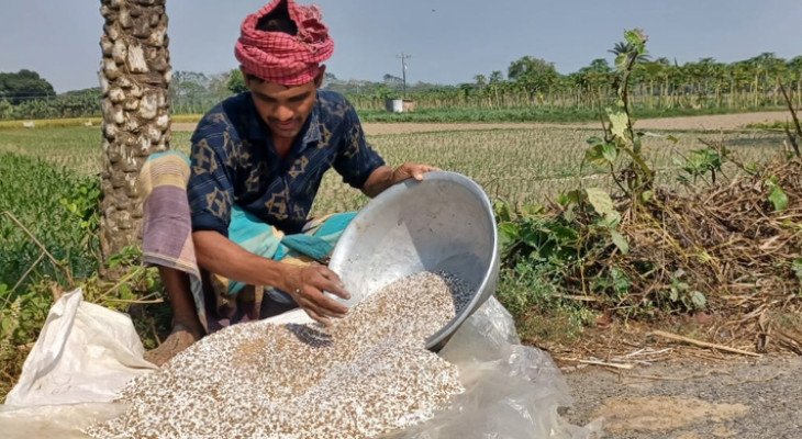 চুয়াডাঙ্গায় সিন্ডিকেট ও নজরদারীর অভাবে বাড়ছে সার সংকট